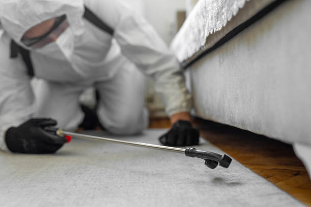 Professional Cockroach Control technician working in Lake Station, IN