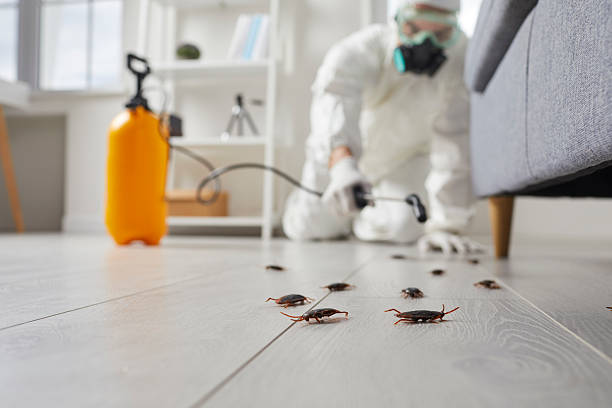 Trusted Cockroach Control service in Lake Station, IN - Nex Pest Control