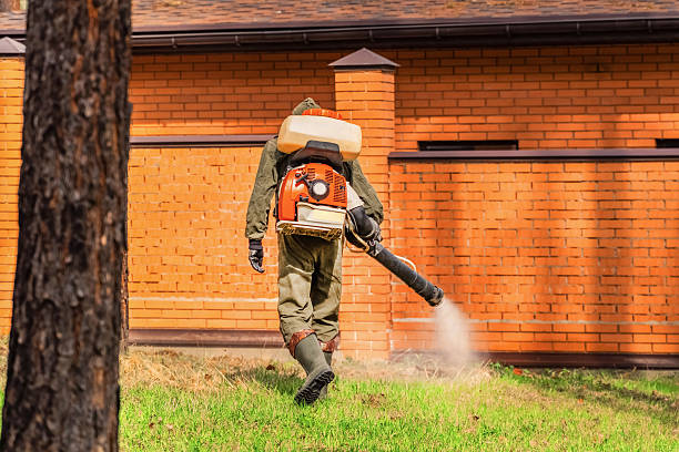 Trusted Termite Control service in Lake Station, IN - Nex Pest Control